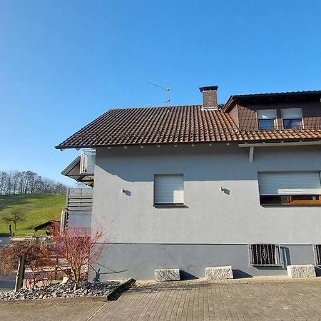 Grosse Tolle 4 Zimmer Ferienwohnung Im Herzen Des Odenwaldes Moerlenbach Екстер'єр фото