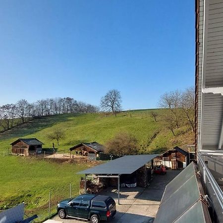 Grosse Tolle 4 Zimmer Ferienwohnung Im Herzen Des Odenwaldes Moerlenbach Екстер'єр фото