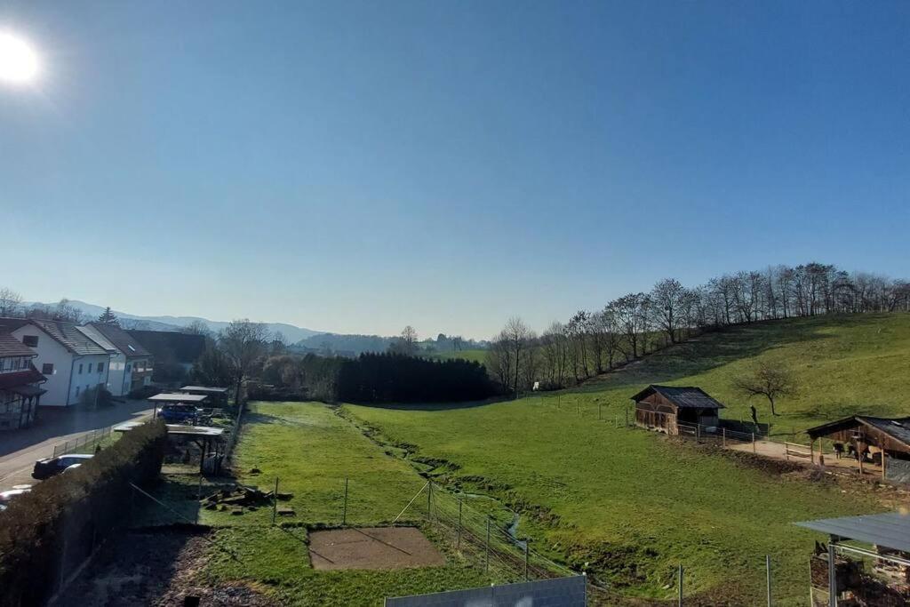 Grosse Tolle 4 Zimmer Ferienwohnung Im Herzen Des Odenwaldes Moerlenbach Екстер'єр фото