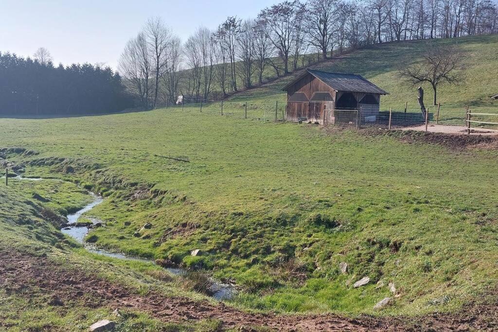 Grosse Tolle 4 Zimmer Ferienwohnung Im Herzen Des Odenwaldes Moerlenbach Екстер'єр фото