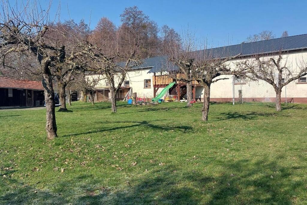 Grosse Tolle 4 Zimmer Ferienwohnung Im Herzen Des Odenwaldes Moerlenbach Екстер'єр фото