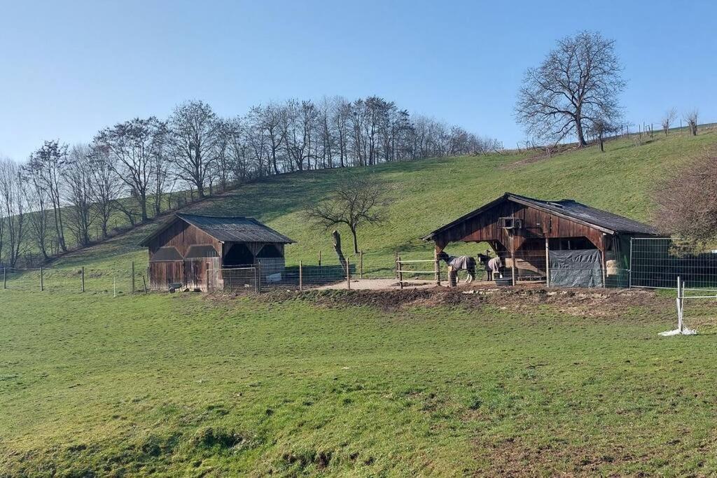 Grosse Tolle 4 Zimmer Ferienwohnung Im Herzen Des Odenwaldes Moerlenbach Екстер'єр фото