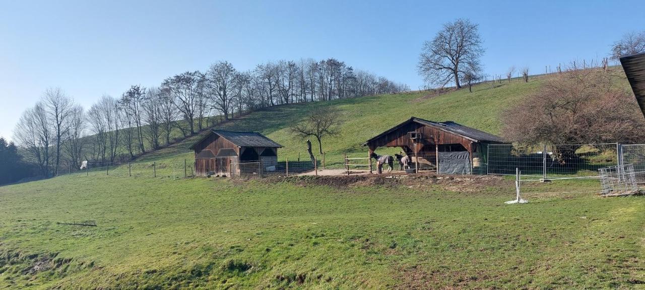 Grosse Tolle 4 Zimmer Ferienwohnung Im Herzen Des Odenwaldes Moerlenbach Екстер'єр фото